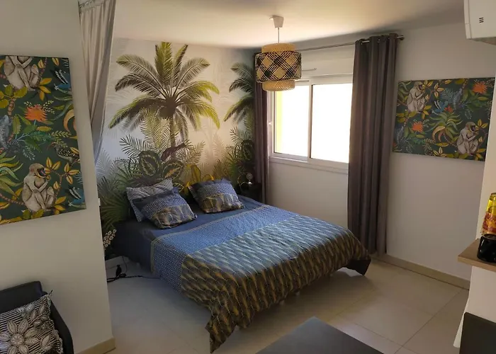 Sanguinaires דירה אז'אקסיו